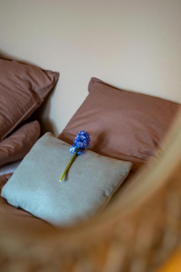 Mosters Bed & Breakfast Guldborg Zewnętrze zdjęcie